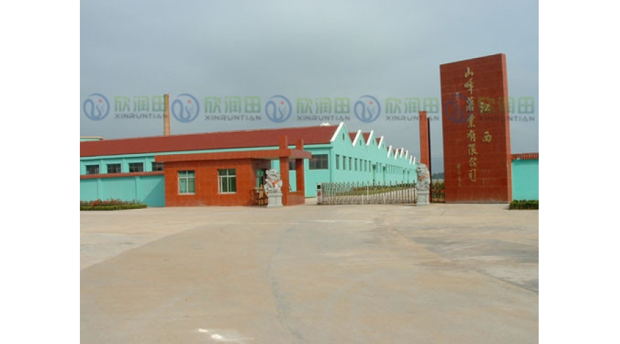 Jiangxi Shanfeng Potato Industry CO. ltd